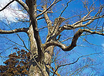 塔防地牢RPG《战匠杜沃》上线Steam 5月31日发售