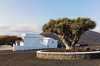 《乐高2K竞速》Steam页面上线 售价199元