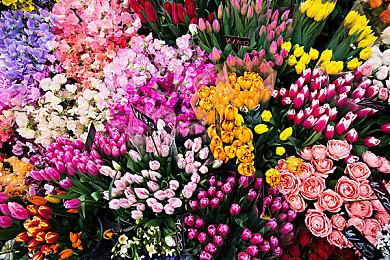 《浪人崛起》提供三种难度 可满足类魂玩家的需求